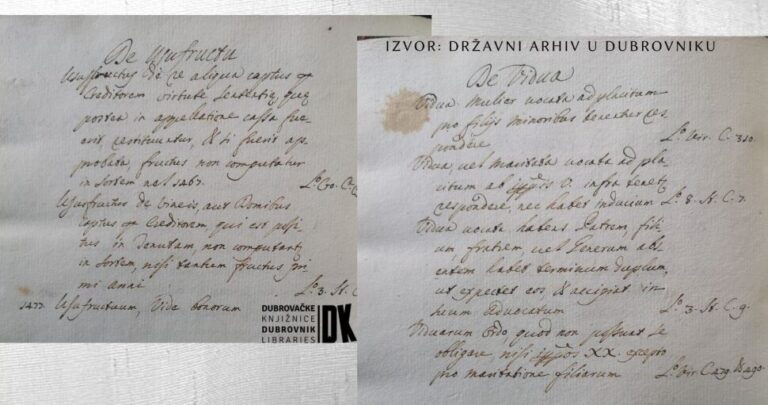 POVODOM DANA ŽENA Mirza Hebib održat će predavanje o pravnom položaju dubrovačkih udovica