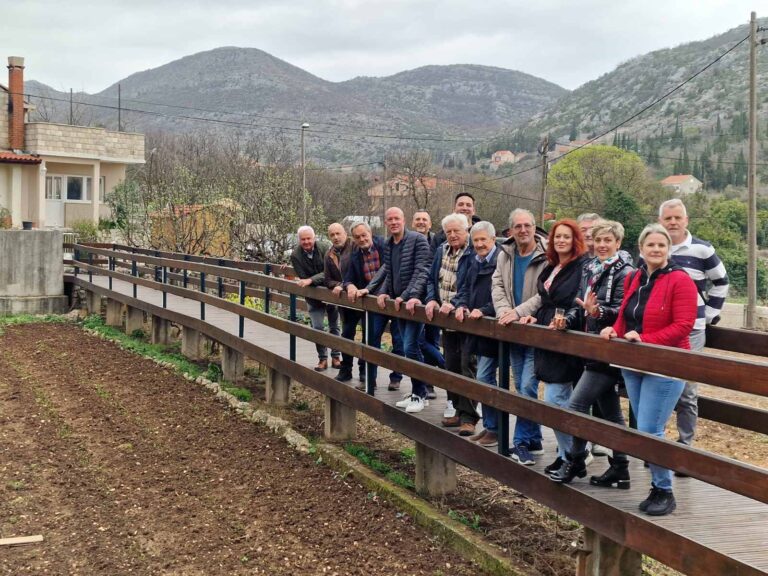 Dubrovački rotarijanci podijelili 500 stabala mira