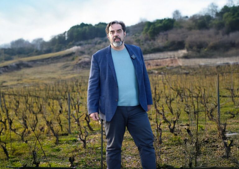 Giljača: Spriječimo ekocid vinograda na Pelješcu – slušajmo građane!