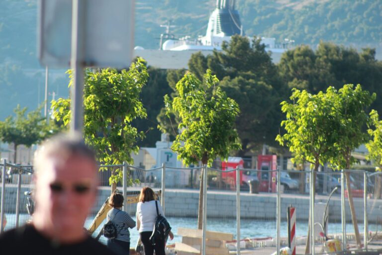 ZELENI DUBROVNIK Izbor stabala izazivao je brojne komentare, no struka ima objašnjenje i valja ga poslušati