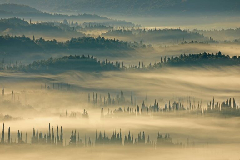 “Svjetlopisi za Lukjernicu” – umjetničke fotografije za art terapiju psihički oboljelih