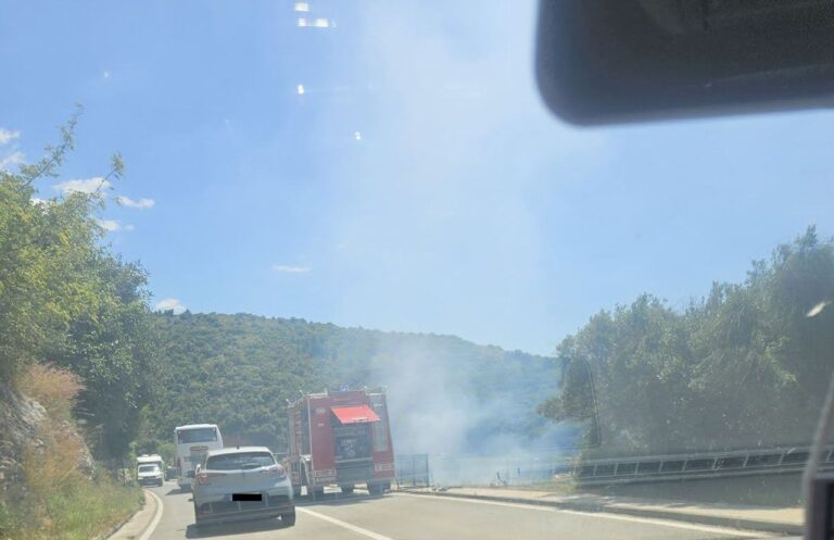 Požar u Vrbici ugašen brzom intervencijom Dubrovačkih vatrogasaca