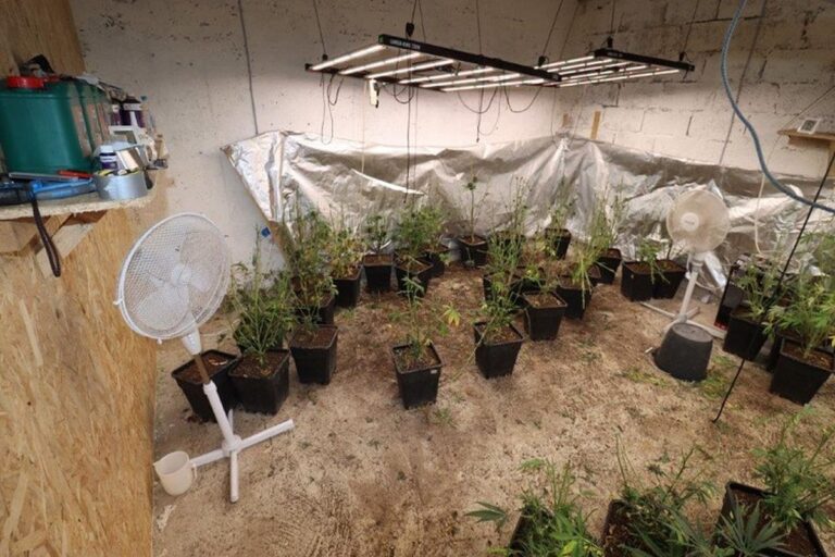 Policija u Konavlima pretragom kuće pronašla ilegalni laboratorij, amfetamin i stabljike cannabis sative