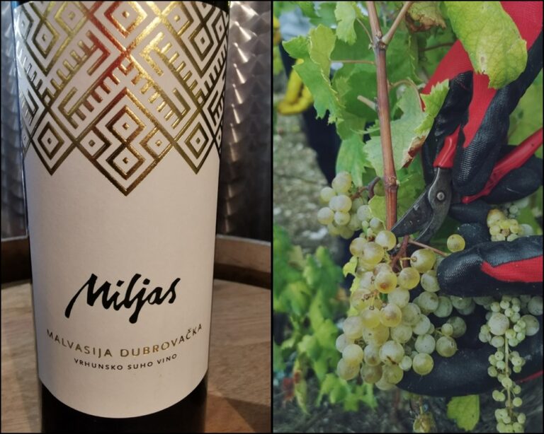 SVJETSKA RAZINA Malvasija obitelji Miljas nagrađena srebrom!