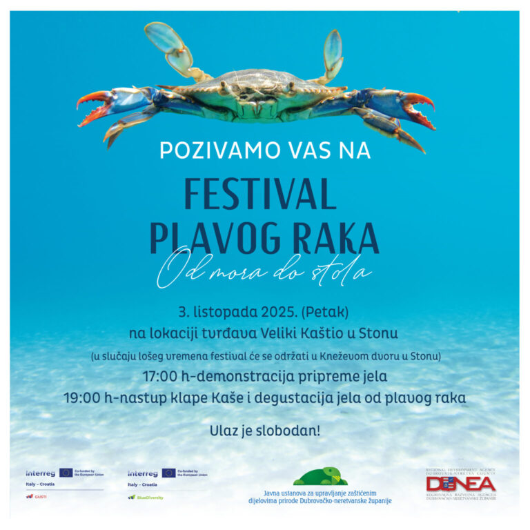 Festival plavog raka u Stonu: iako došljak u naše vode, postao je prava inspiracija za kuhare