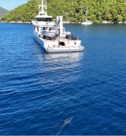 VIDEO: Pogledajte morskog psa kako kruži oko jahte kod Jakljana