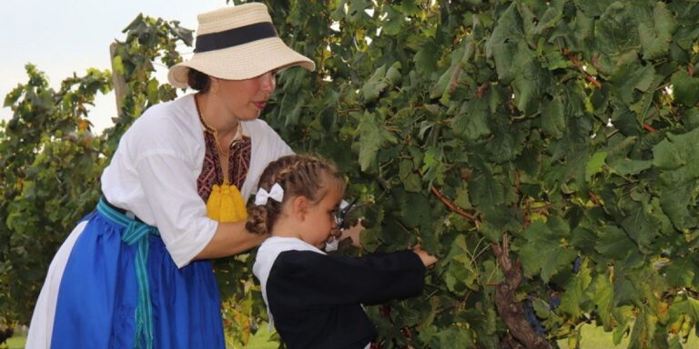 Trganje kao jedan od turističkih “proizvoda” u Konavlima – zabava, tradicija, hrana i pjesma