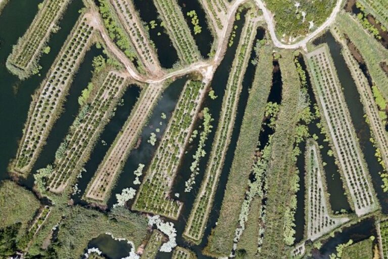 RuralFoto 2025 – zatvorene nominacije, slijedi izbor najboljih!