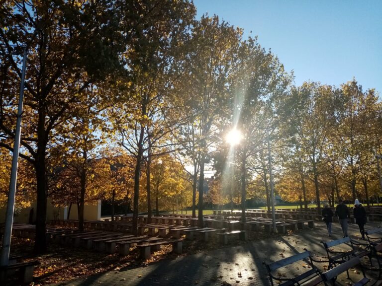 PISMO MAJKE “Oni koji su rođenjem “označeni” kao drugačiji, često se svakodnevno penju na svoj osobni Everest”