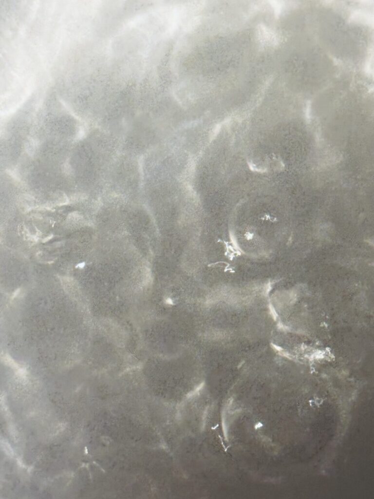 Ivana Jelavić izlaže u Umjetničkoj galeriji Dubrovnik