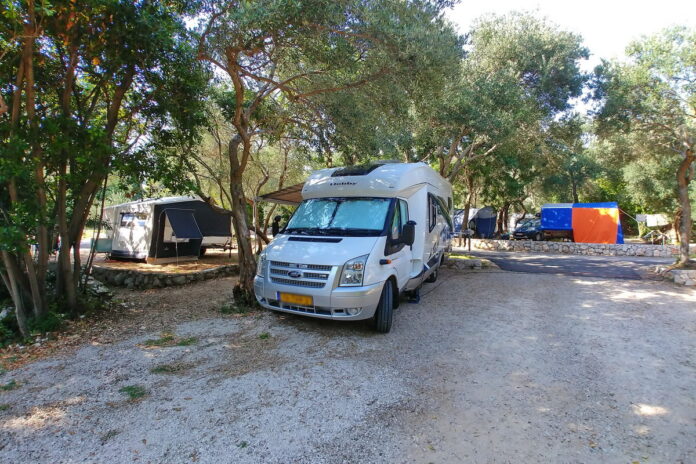 kamp pod maslinom orašac1