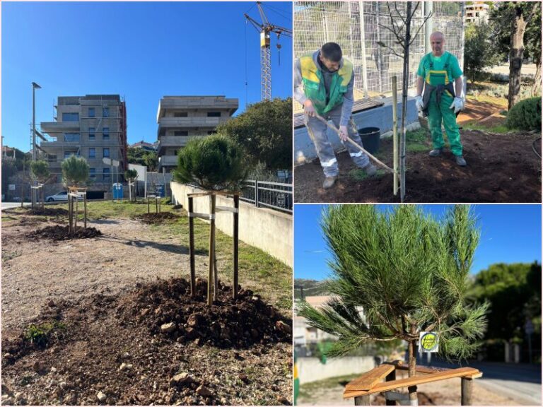 Turistička zajednica posadila stabla u Solitudu, sadnja se nastavlja i idućih dana