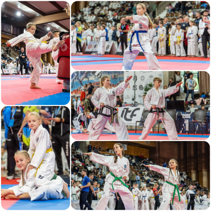 taekvondo