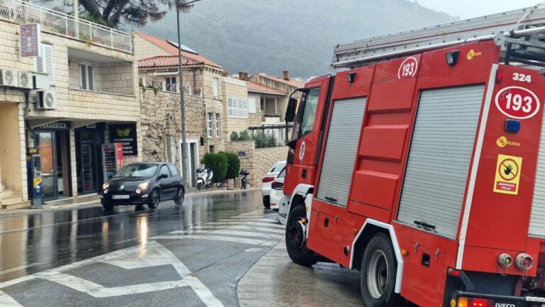 Brzom intervencijom vatrogasaca ugašen požar u fast foodu u Ulici Pera Čingrije