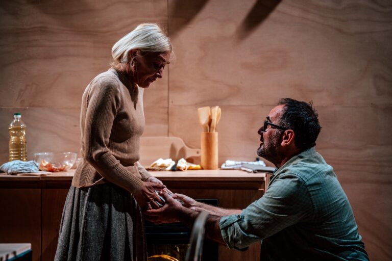 Emotivna dubrovačka predstava redatelja Romana Nikolića u utrci za Zlatni studio