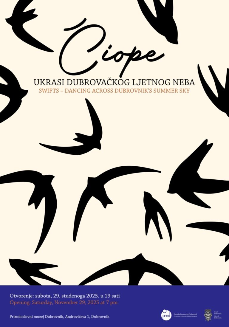 Otvorenje izložbe “Čiope – ukrasi dubrovačkog ljetnog neba” u Prirodoslovnom muzeju Dubrovnik