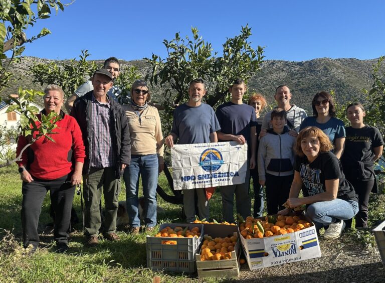 FOTO: Sniježničarke i Sniježničari u volonterskoj akciji branja naranči i narančina
