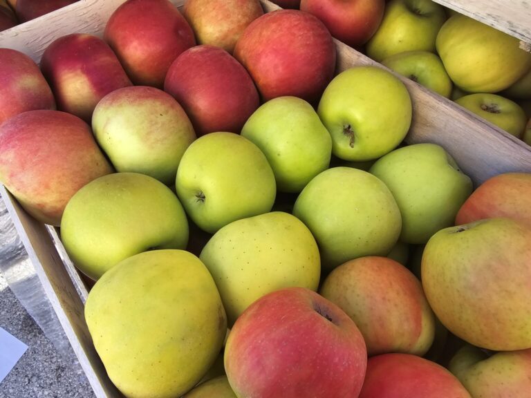 Nalazi li se u hrvatskim jabukama “koktel pesticida i neurotoksina”? Evo što kažu iz Hrvatske voćarske zajednice