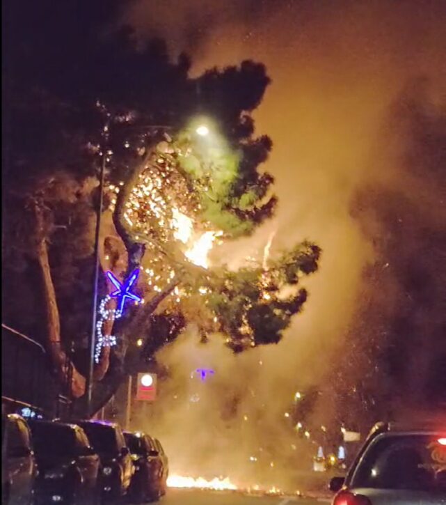 VIDEO: Zapalio se bor kod igrališta na SSG-u