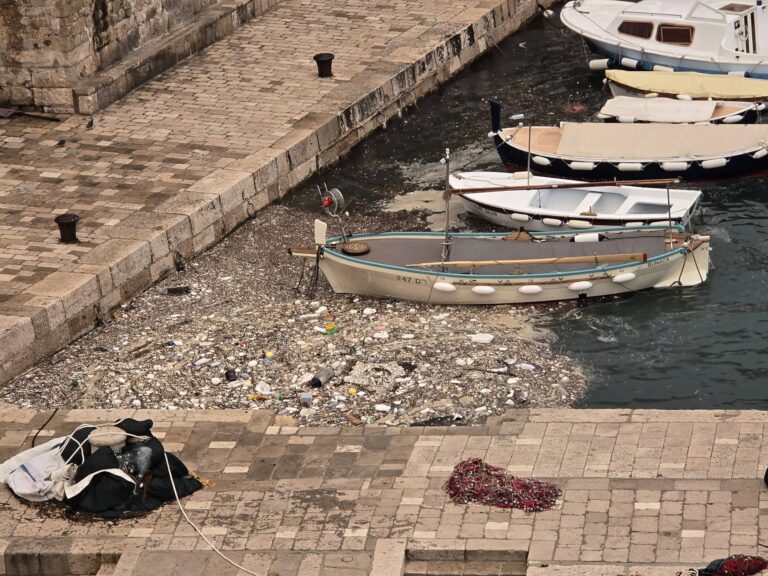 ZA NJIH NEMA BLAGDANA Zaposlenici “Čistoće” uklanjaju naneseni otpad u portu, ima i uginulih životinja