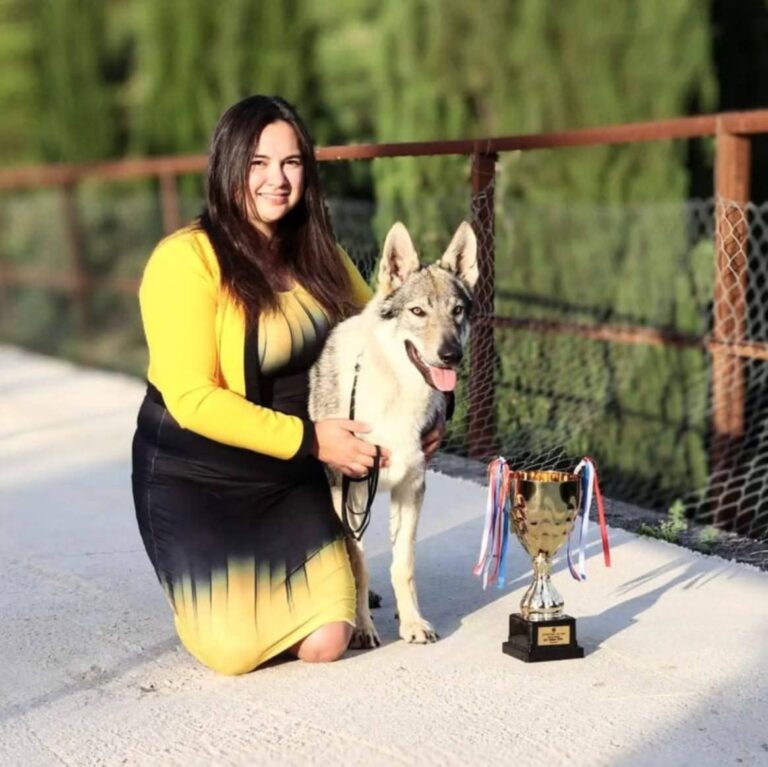 Od Kanade do Konavala i Tik Toka: Crysta Perak gradi život i posao s vučjim psima na djedovini