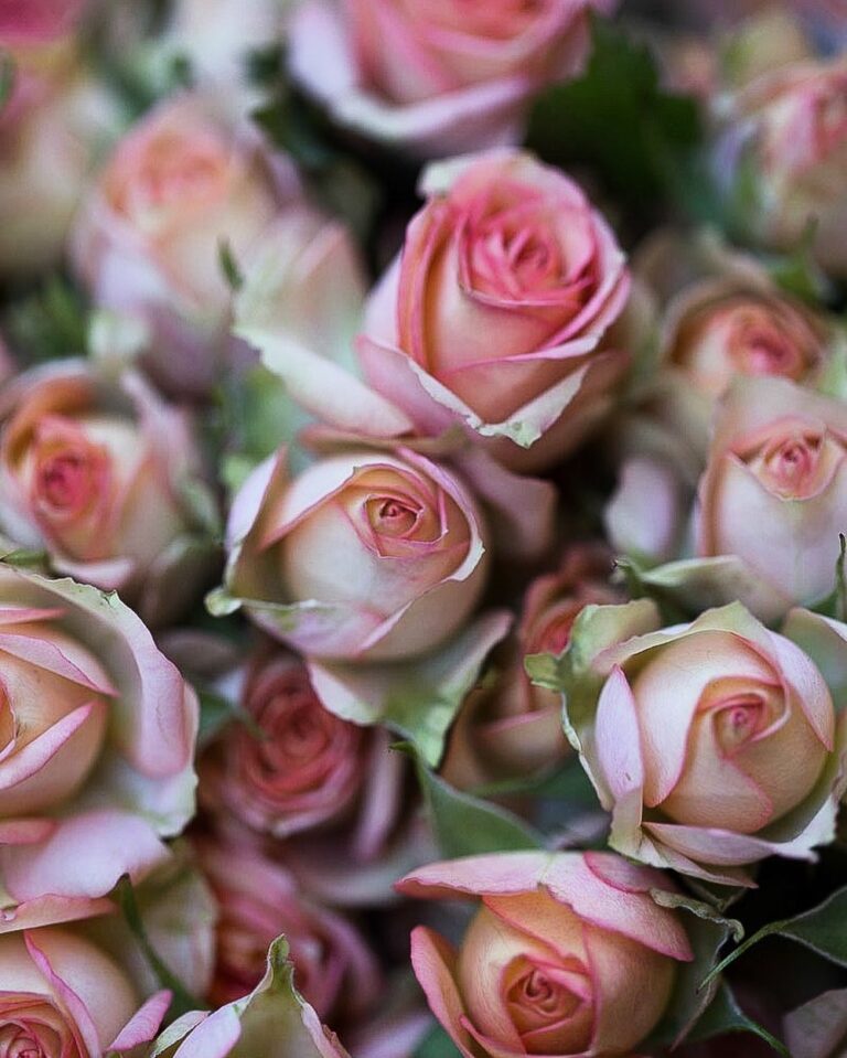 Zašto je sv. Valentin zaštitnik zaljubljenih?