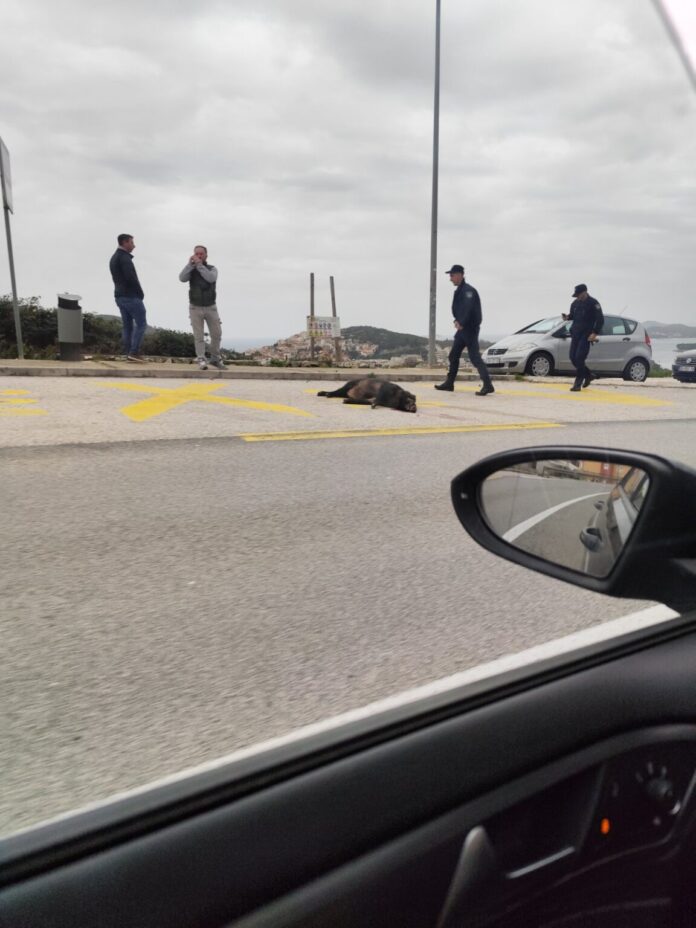 Radari - kontrole/ Viber