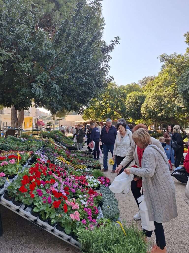 Video:Gruž pršti u bojama cvijeća – počeo Dubrovnik Flower Market
