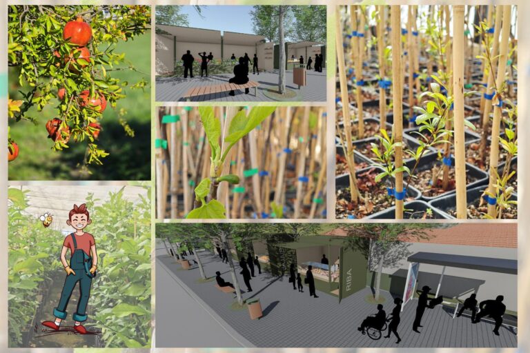 Mali Konavljanin u akciji: Cvijeto dijeli šipke i smokve na Grudi