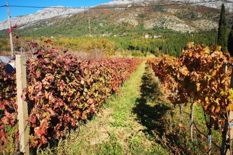 Poziv na skup sudionika komasacije na području Općine Konavle