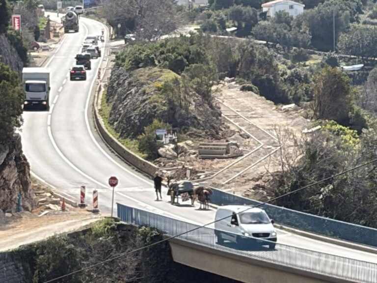 PREDVIDIO BUDUĆNOST i s magarcima krenuo na desetogodišnje putovanje?