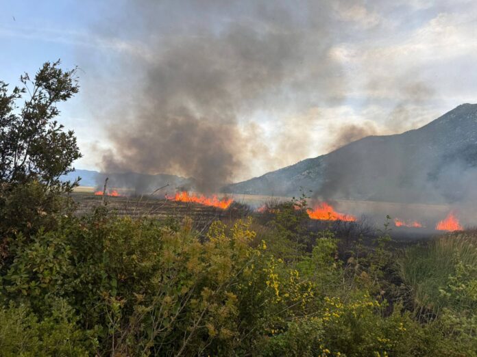 Javna Vatrogasna Postrojba Metković/ Facebook