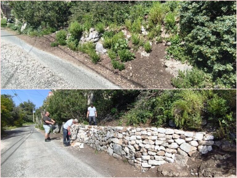 Mljetske koze s Bračanima obnovili suhozid na Mljetu