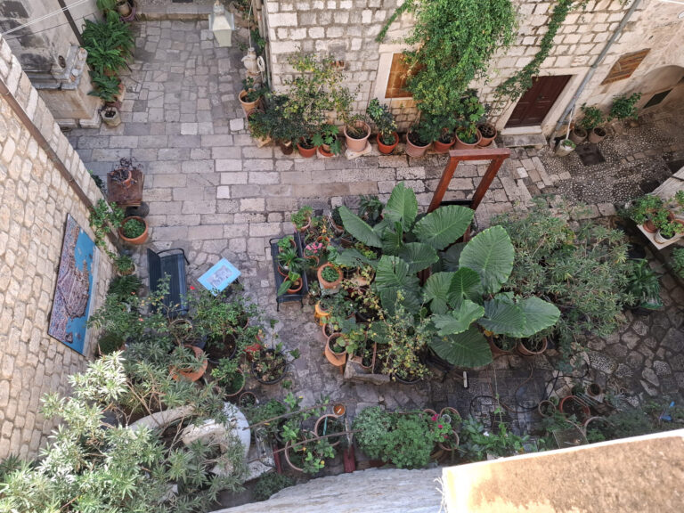 ZELENI DUBROVNIK Stanovnici Grada ulice pretvaraju u zelene koridore na radost svih nas