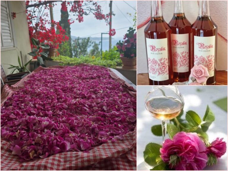 LATICE U BOCI Dijelimo tradiciju da bismo je sačuvali