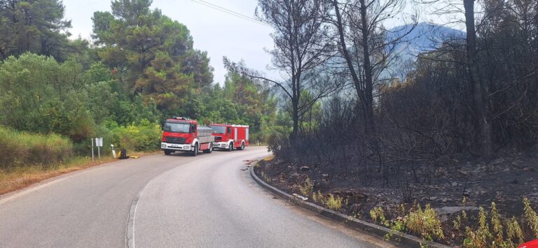 Požar na Korčuli pod nadzorom, na sanaciji požarišta angažirano 95 vatrogasca