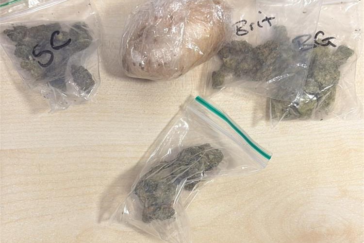 Kod vozača iz Njemačke pronađen heroin i marihuana, kažnjen s gotovo 2 tisuće eura