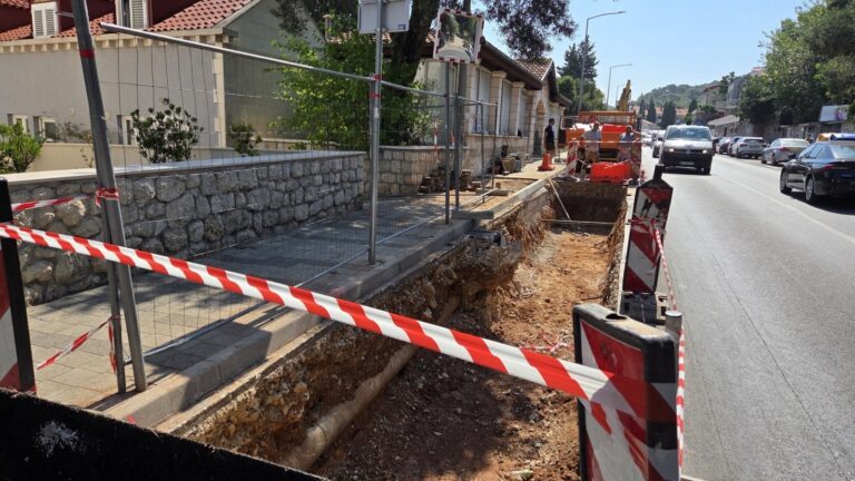 Na Vojnoviću se sade 62 stabla košćele