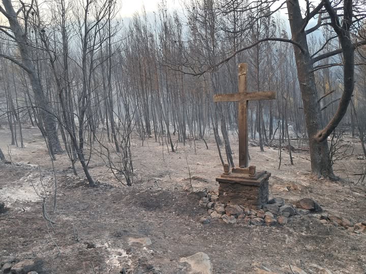 Požar kod Blata se razbuktao, situacija je teška, pozvani su u pomoć i vatrogasci s Pelješca i  interventna postrojba iz Dubrovnika