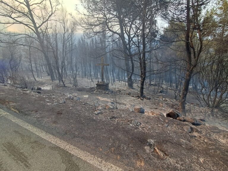 Kiša donijela predah gasiteljima na Korčuli, no požar još gori. Dva su vatrogasca lakše ozlijeđena