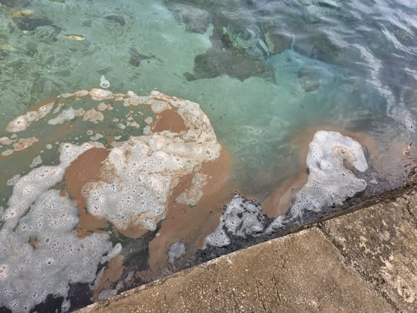Otok Lastovo/ Facebook